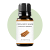 Cinamon Bark Essential Oil