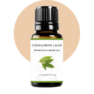 Cinamon Leaf Essential Oil