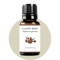 Clove Bud Essential Oil