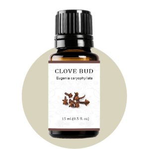 Clove Bud Essential Oil