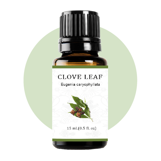 Clove Leaf Essential Oil