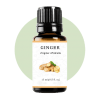Ginger Essential Oil