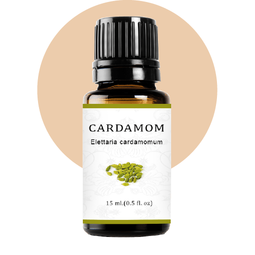 Cardamon Essential Oil