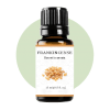 Frankincense Cerata Essential Oil