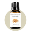 Frankincense Sacra Essential Oil