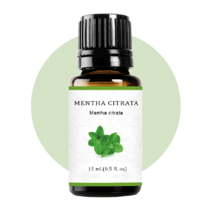 Mentha Citrata Essential Oil