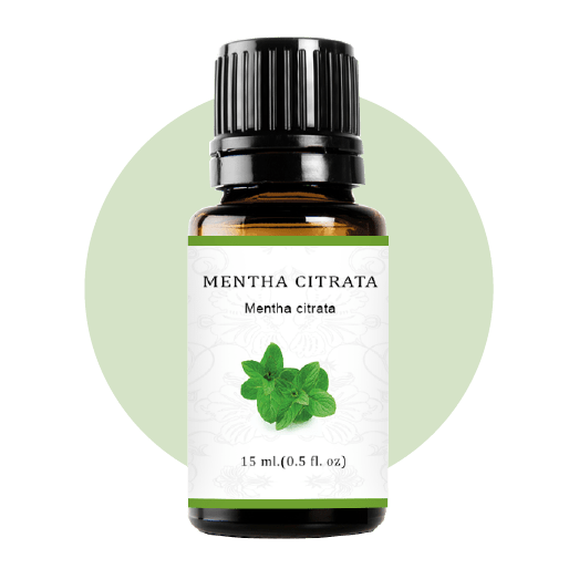 Mentha Citrata Essential Oil