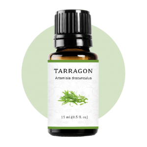 Geranium Essential Oil